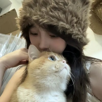 莉莉小姐的超完美日记
