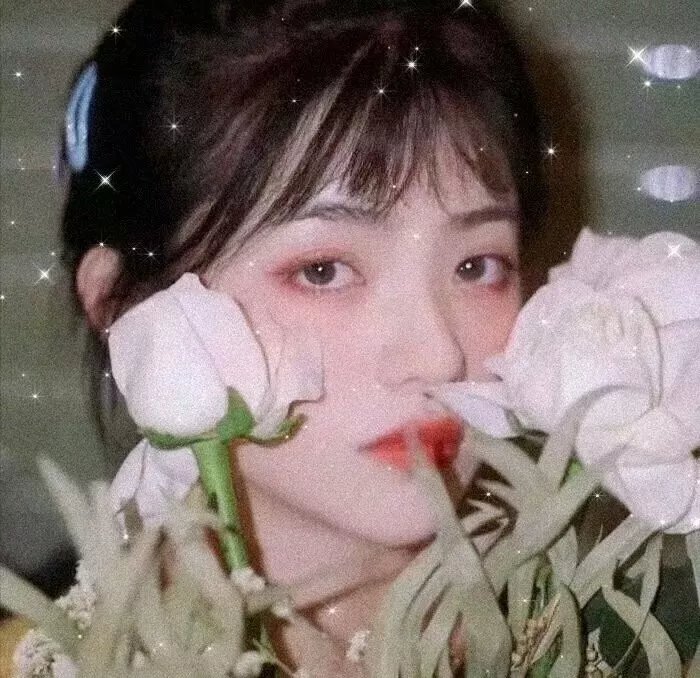 密林深处